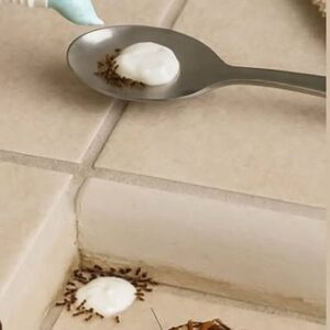 A Simple Household Method That May Help Reduce Insects Indoors